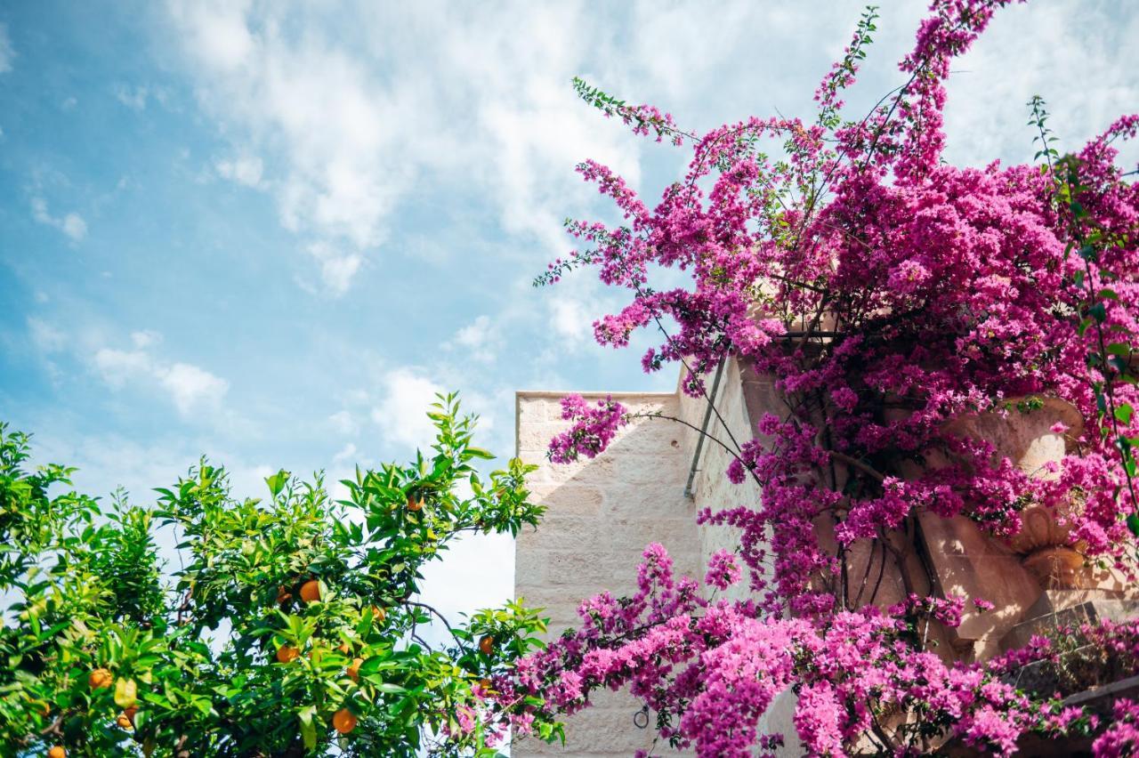 Tenuta Tresca Suites - Dimora Storica San Cassiano  Ngoại thất bức ảnh